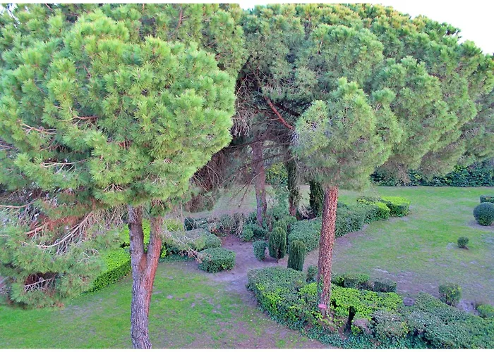 Standing Avec Spa, Terrasse & Calme Absolu, Entre Et Lac, Motte *